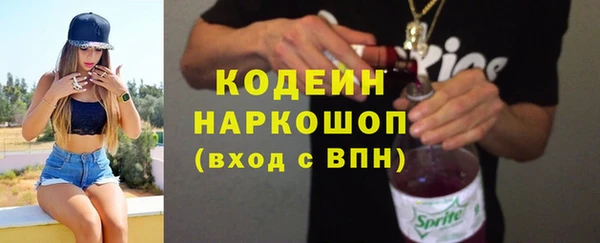 прущие крисы Горняк